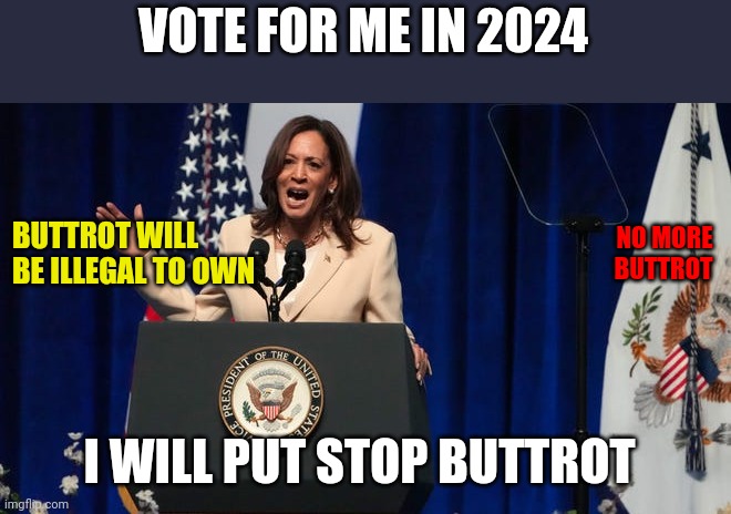 No more Buttrot | VOTE FOR ME IN 2024; BUTTROT WILL 
BE ILLEGAL TO OWN; NO MORE 
BUTTROT; I WILL PUT STOP BUTTROT | image tagged in funny memes | made w/ Imgflip meme maker