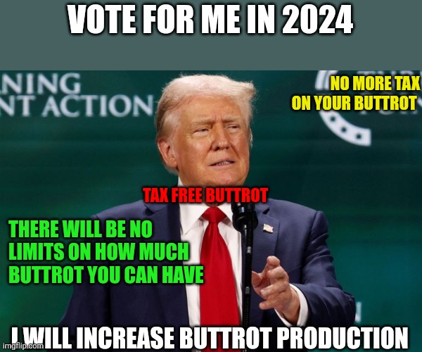 Tax free Buttrot | VOTE FOR ME IN 2024; NO MORE TAX
ON YOUR BUTTROT; TAX FREE BUTTROT; THERE WILL BE NO
LIMITS ON HOW MUCH
BUTTROT YOU CAN HAVE; I WILL INCREASE BUTTROT PRODUCTION | image tagged in funny memes | made w/ Imgflip meme maker