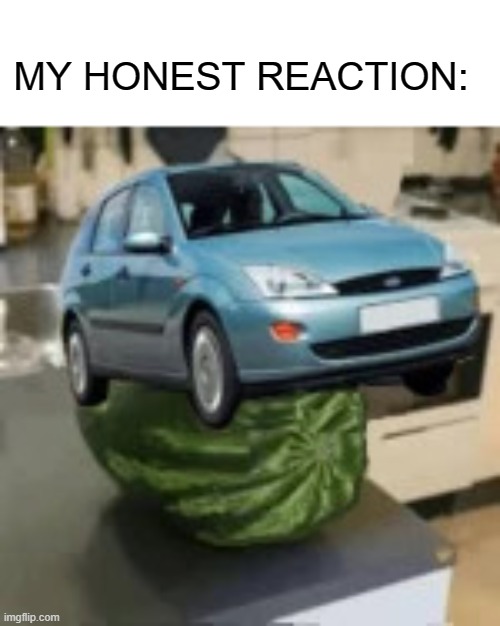 real | MY HONEST REACTION: | image tagged in focusmelon | made w/ Imgflip meme maker