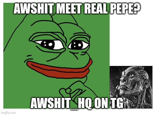 https://t.me/AWSHIT_HQ | AWSHIT MEET REAL PEPE? AWSHIT_HQ ON TG | image tagged in memes,funny memes | made w/ Imgflip meme maker