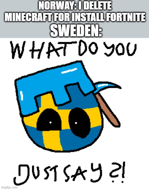 Don't make the same mistake as Norway | NORWAY: I DELETE MINECRAFT FOR INSTALL FORTNITE; SWEDEN: | image tagged in countryballs,polandball,sweden,norway,minecraft,fortnite | made w/ Imgflip meme maker