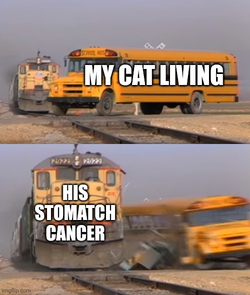 Fun cat with cancer | MY CAT LIVING; HIS STOMATCH CANCER | image tagged in a train hitting a school bus | made w/ Imgflip meme maker