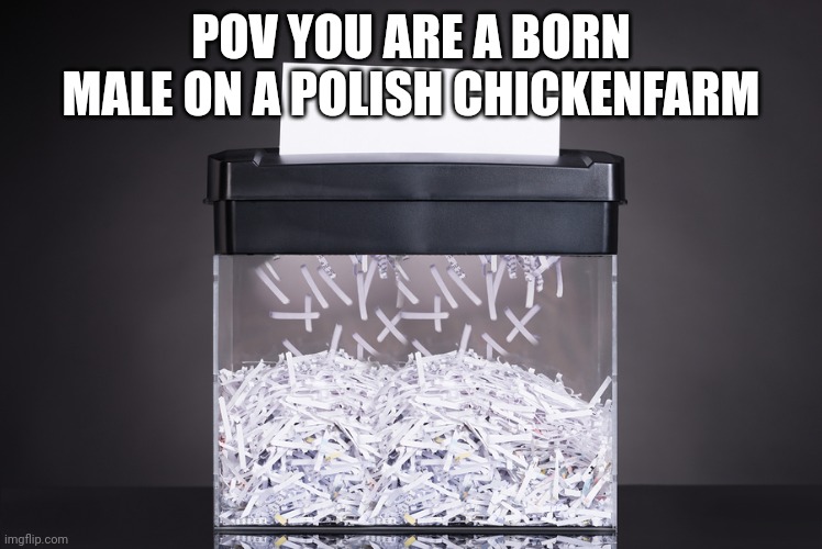 Shredder | POV YOU ARE A BORN MALE ON A POLISH CHICKENFARM | image tagged in shredder,chicken,cruel | made w/ Imgflip meme maker