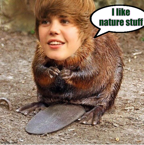 justin beaver | I like nature stuff | image tagged in justin beaver | made w/ Imgflip meme maker