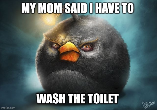 Hate when she says that | MY MOM SAID I HAVE TO; WASH THE TOILET | image tagged in angry birds bomb | made w/ Imgflip meme maker