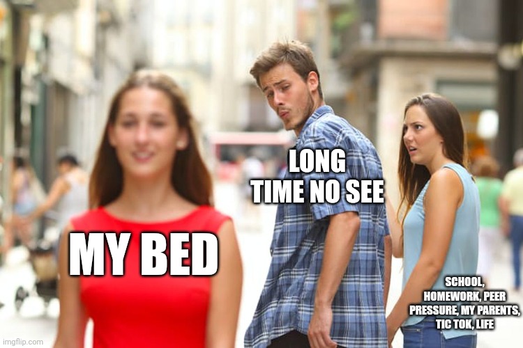 My life rn | LONG TIME NO SEE; MY BED; SCHOOL, HOMEWORK, PEER PRESSURE, MY PARENTS, TIC TOK, LIFE | image tagged in memes | made w/ Imgflip meme maker