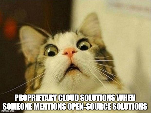 Scared Cat Meme | PROPRIETARY CLOUD SOLUTIONS WHEN SOMEONE MENTIONS OPEN-SOURCE SOLUTIONS | image tagged in memes,scared cat | made w/ Imgflip meme maker