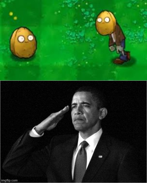 image tagged in wall-nut zombie vs wall-nut,obama-salute | made w/ Imgflip meme maker