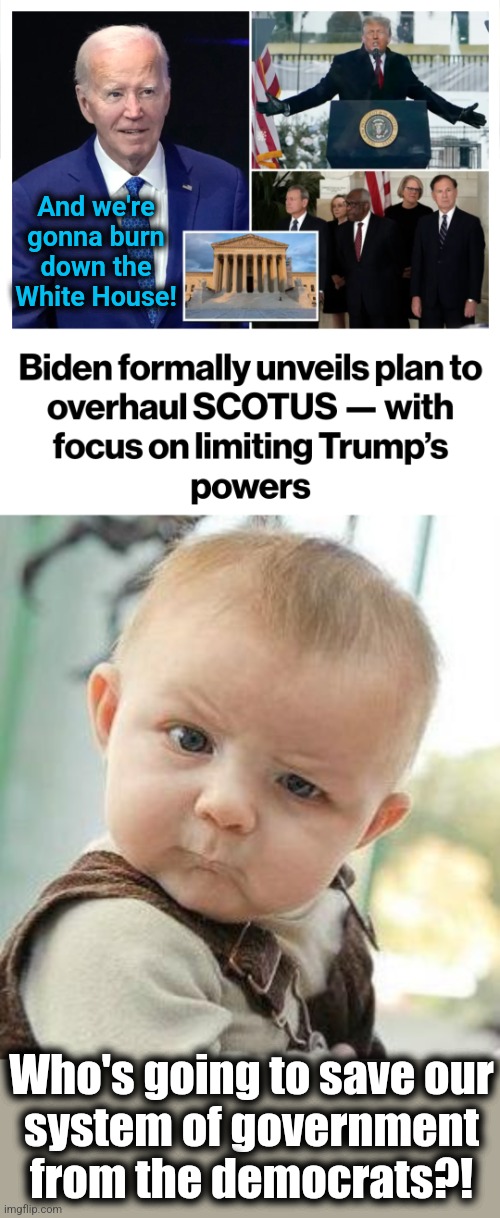 And we're
gonna burn
down the
White House! Who's going to save our
system of government
from the democrats?! | image tagged in confused baby,memes,joe biden,supreme court,democrats,destruction of america | made w/ Imgflip meme maker