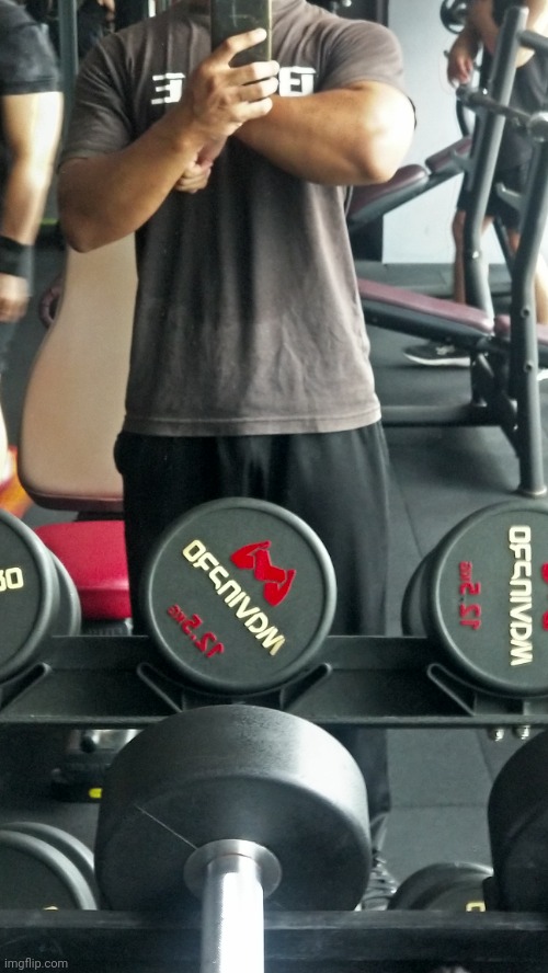beefy forearm pump from hammer curling 20 kg | made w/ Imgflip meme maker