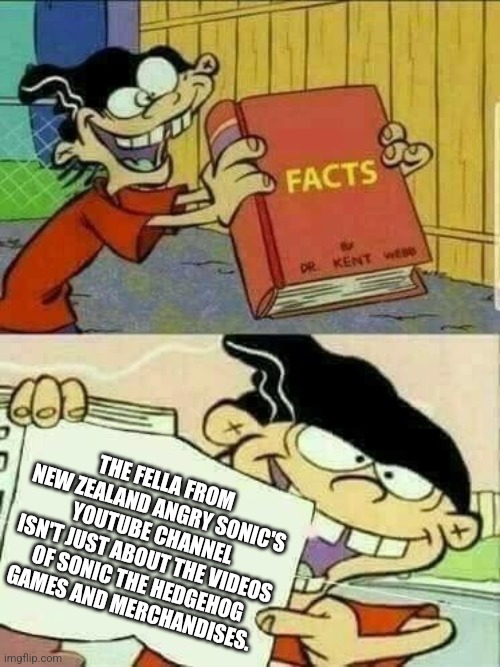 Double d facts book  | THE FELLA FROM NEW ZEALAND ANGRY SONIC'S YOUTUBE CHANNEL ISN'T JUST ABOUT THE VIDEOS OF SONIC THE HEDGEHOG GAMES AND MERCHANDISES. | image tagged in double d facts book | made w/ Imgflip meme maker