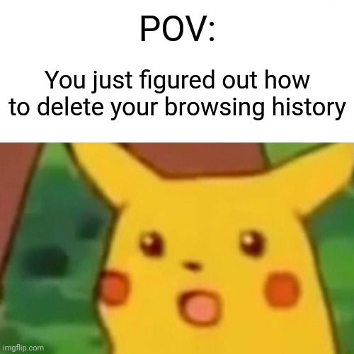 Surprised Pikachu | POV:; You just figured out how to delete your browsing history | image tagged in memes,surprised pikachu,browser history | made w/ Imgflip meme maker
