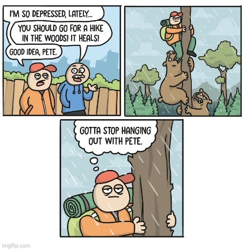 Hanging out with bears in the woods | image tagged in comics,comics/cartoons,bears,bear,woods,trees | made w/ Imgflip meme maker