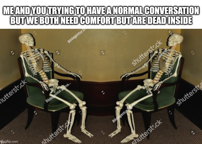 RAAAGH I'm dead inside yippee | ME AND YOU TRYING TO HAVE A NORMAL CONVERSATION BUT WE BOTH NEED COMFORT BUT ARE DEAD INSIDE | image tagged in fnaf,balls,skeleton | made w/ Imgflip meme maker