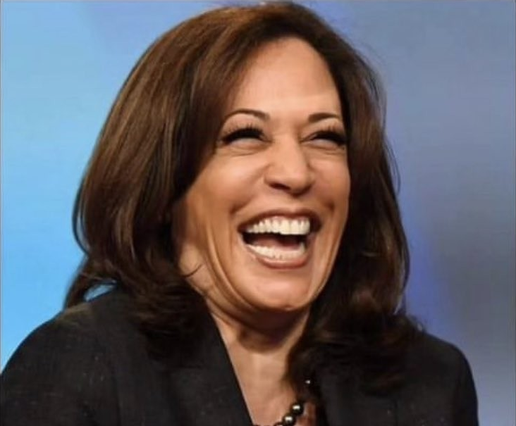 High Quality Kamala Harris Blank Meme Template