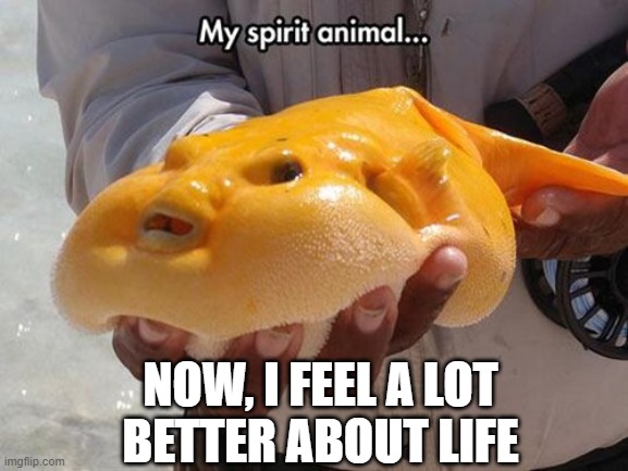 NOW, I FEEL A LOT
BETTER ABOUT LIFE | made w/ Imgflip meme maker
