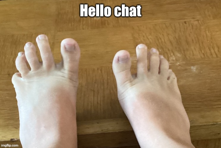 IcyXD feet V5 | Hello chat | image tagged in icyxd feet v5 | made w/ Imgflip meme maker