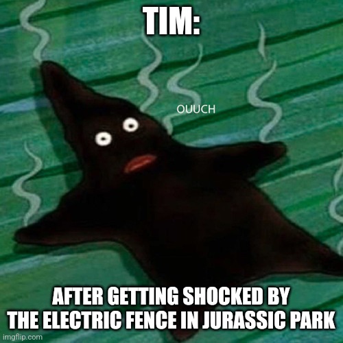 Poor Tim, the human piece of toast | TIM:; AFTER GETTING SHOCKED BY THE ELECTRIC FENCE IN JURASSIC PARK | image tagged in burnt patrick,jurassic park,jpfan102504 | made w/ Imgflip meme maker