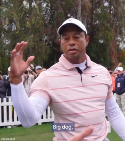 Tiger Woods - Big Dog | image tagged in tiger woods - big dog | made w/ Imgflip meme maker