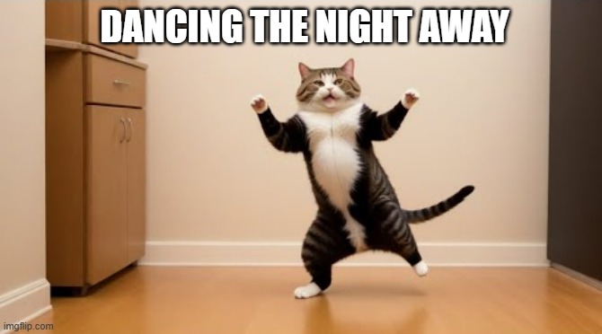 memes by Brad - My cat dancing the night away | DANCING THE NIGHT AWAY | image tagged in funny,cats,funny dancing,dancing,kitten,funny cat memes | made w/ Imgflip meme maker