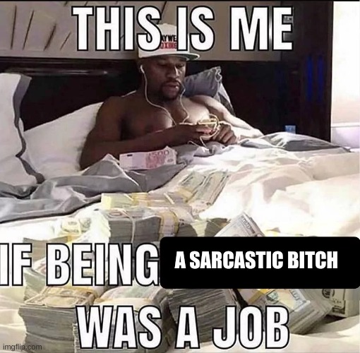 This is me If being X was a job | A SARCASTIC BITCH | image tagged in this is me if being x was a job | made w/ Imgflip meme maker