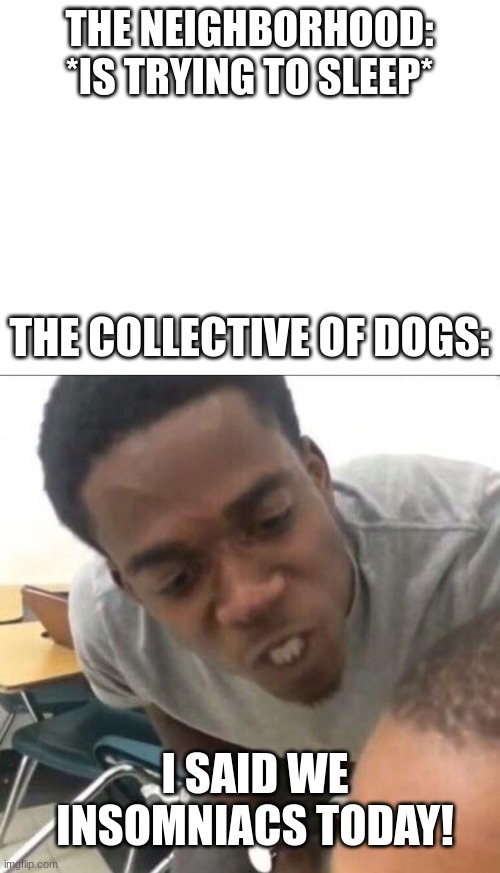 Late nights | THE NEIGHBORHOOD: *IS TRYING TO SLEEP*; THE COLLECTIVE OF DOGS:; I SAID WE INSOMNIACS TODAY! | image tagged in i said we sad today | made w/ Imgflip meme maker