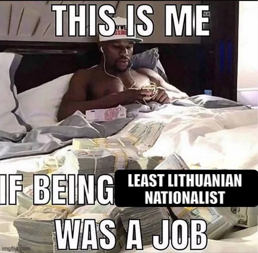 least lithuanian nationalist | LEAST LITHUANIAN NATIONALIST | image tagged in this is me if being x was a job | made w/ Imgflip meme maker