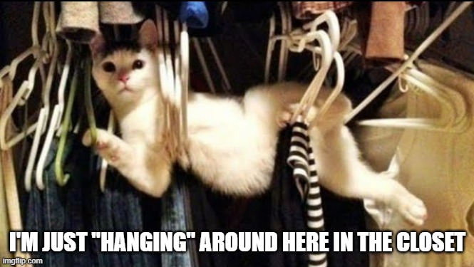 memes by Brad - My cat likes hanging around in my closet | I'M JUST "HANGING" AROUND HERE IN THE CLOSET | image tagged in funny,cats,funny cat memes,kittens,humor,cute kittens | made w/ Imgflip meme maker