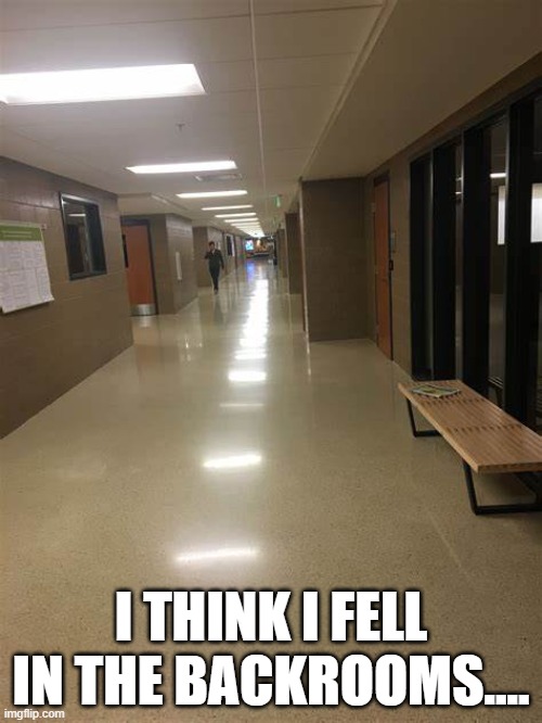 uhhhh GUYS??? | I THINK I FELL IN THE BACKROOMS.... | made w/ Imgflip meme maker