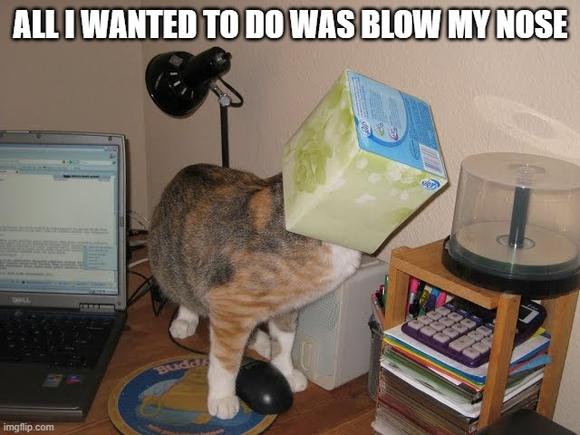 memes by Brad - Cat got head stuck while trying to blow his nose | ALL I WANTED TO DO WAS BLOW MY NOSE | image tagged in funny,cats,kittens,funny cat memes,cute kittens,humor | made w/ Imgflip meme maker