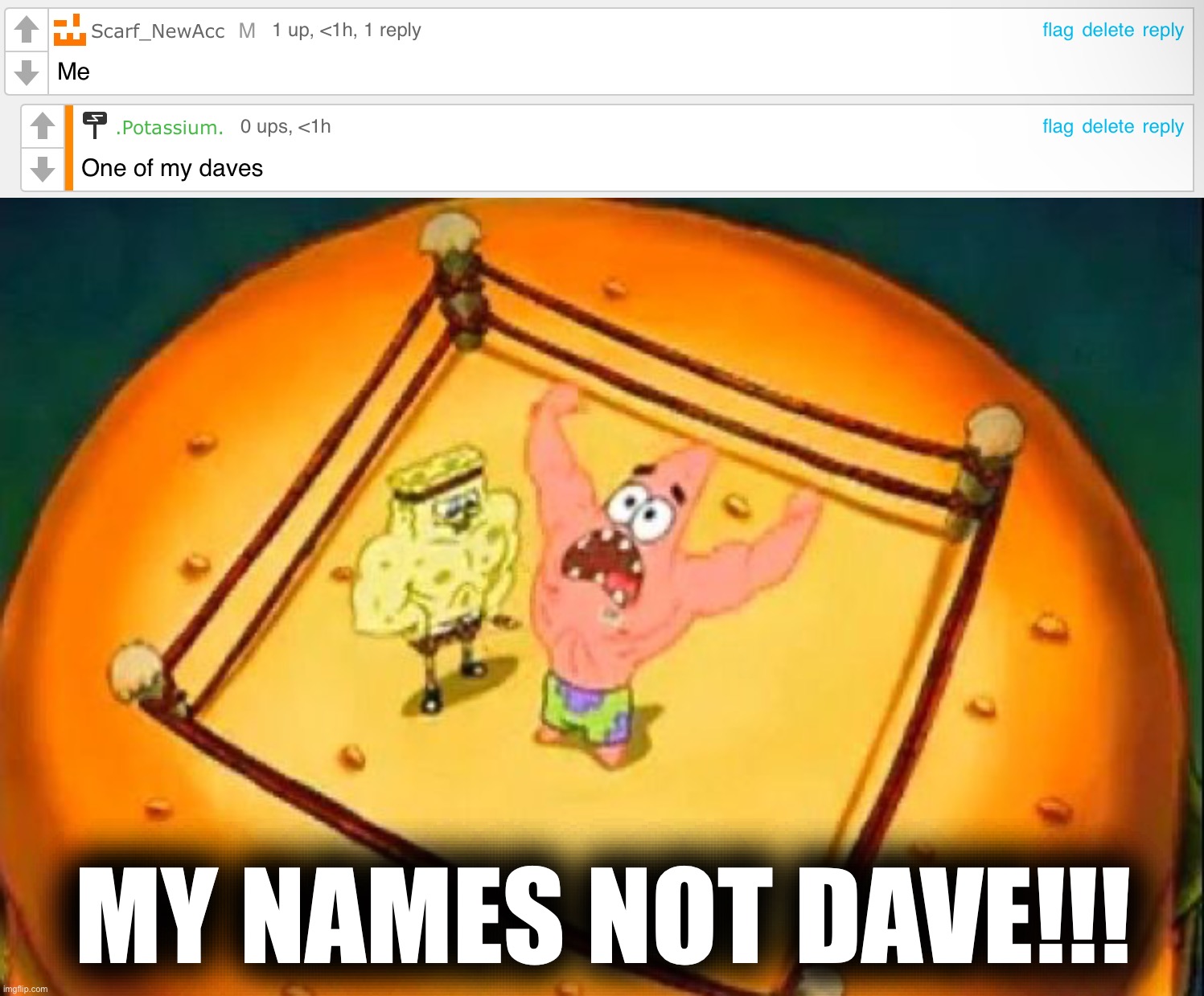 LGBTQ comments shitpost: My names not Dave!!! | MY NAMES NOT DAVE!!! | image tagged in my name is not rick,spongebob squarepants,spongebob,patrick star,lgbtq,comments | made w/ Imgflip meme maker