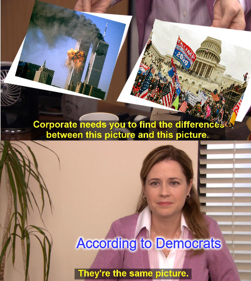 They are not the Same | According to Democrats | image tagged in memes,they're the same picture | made w/ Imgflip meme maker