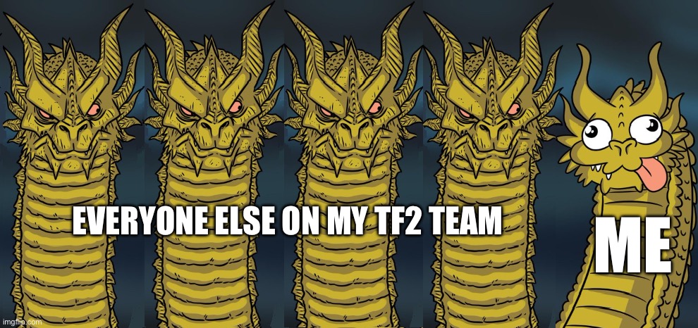 Noob | EVERYONE ELSE ON MY TF2 TEAM; ME | image tagged in 5 headed dragon | made w/ Imgflip meme maker