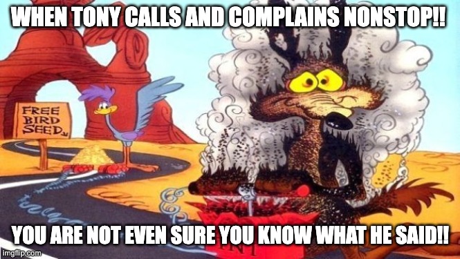 wile e coyote | WHEN TONY CALLS AND COMPLAINS NONSTOP!! YOU ARE NOT EVEN SURE YOU KNOW WHAT HE SAID!! | image tagged in wile e coyote | made w/ Imgflip meme maker