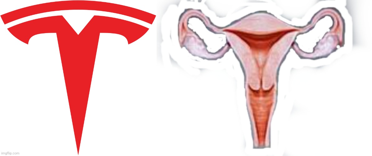 image tagged in tesla logo,happy uterus | made w/ Imgflip meme maker