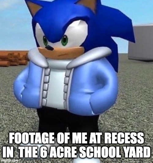 Sonic sans undertale | FOOTAGE OF ME AT RECESS IN  THE 6 ACRE SCHOOL YARD | image tagged in sonic sans undertale | made w/ Imgflip meme maker