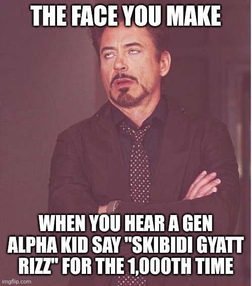 I know, you hate it. It's just how it is. | THE FACE YOU MAKE; WHEN YOU HEAR A GEN ALPHA KID SAY "SKIBIDI GYATT RIZZ" FOR THE 1,000TH TIME | image tagged in memes,face you make robert downey jr,cringe,funny | made w/ Imgflip meme maker