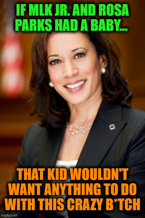 Kamala Harris | IF MLK JR. AND ROSA PARKS HAD A BABY... THAT KID WOULDN'T WANT ANYTHING TO DO WITH THIS CRAZY B*TCH | image tagged in kamala harris,mlk jr,rosa parks,civil rights,race | made w/ Imgflip meme maker