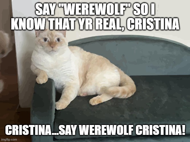 Say "Werewolf" Cristina...say WEREWOLF so I know yr REAL! | SAY "WEREWOLF" SO I KNOW THAT YR REAL, CRISTINA; CRISTINA...SAY WEREWOLF CRISTINA! | image tagged in say werewolf cristina say werewolf so i know yr real | made w/ Imgflip meme maker