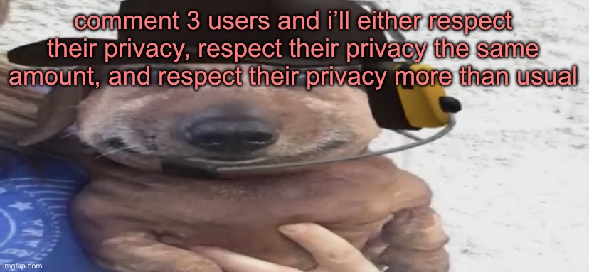 chucklenuts | comment 3 users and i’ll either respect their privacy, respect their privacy the same amount, and respect their privacy more than usual | image tagged in chucklenuts | made w/ Imgflip meme maker