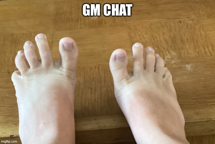 IcyXD FEET!!! v4 | GM CHAT | image tagged in icyxd feet v4 | made w/ Imgflip meme maker