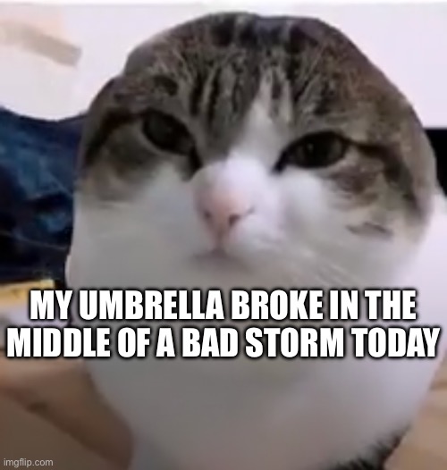 Actually pissed off lmao | MY UMBRELLA BROKE IN THE MIDDLE OF A BAD STORM TODAY | made w/ Imgflip meme maker