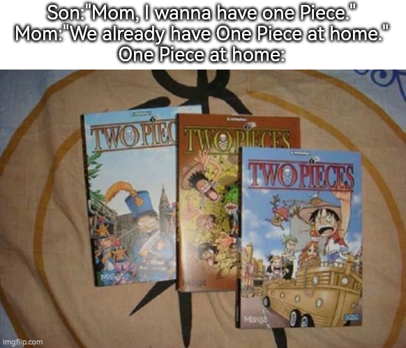 Are they the same or not? | Son:"Mom, I wanna have one Piece."
Mom:"We already have One Piece at home."
One Piece at home: | image tagged in funny,at home,one piece | made w/ Imgflip meme maker