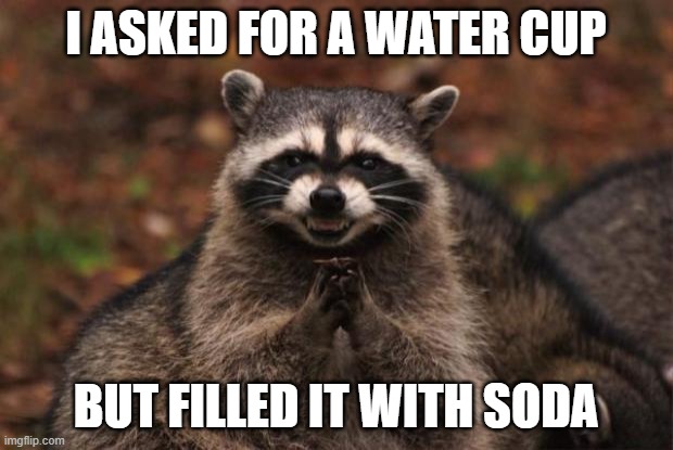 Sneaky Racoon | I ASKED FOR A WATER CUP; BUT FILLED IT WITH SODA | image tagged in racoon,evil genius racoon,soda,memes | made w/ Imgflip meme maker