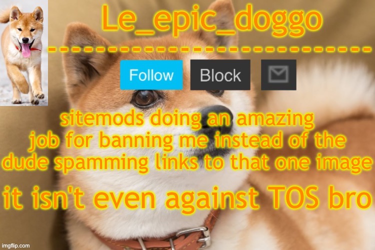 epic doggo's temp back in old fashion | sitemods doing an amazing job for banning me instead of the dude spamming links to that one image; it isn't even against TOS bro | image tagged in epic doggo's temp back in old fashion | made w/ Imgflip meme maker