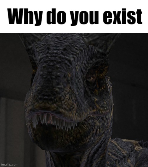 why do you exist Blank Meme Template