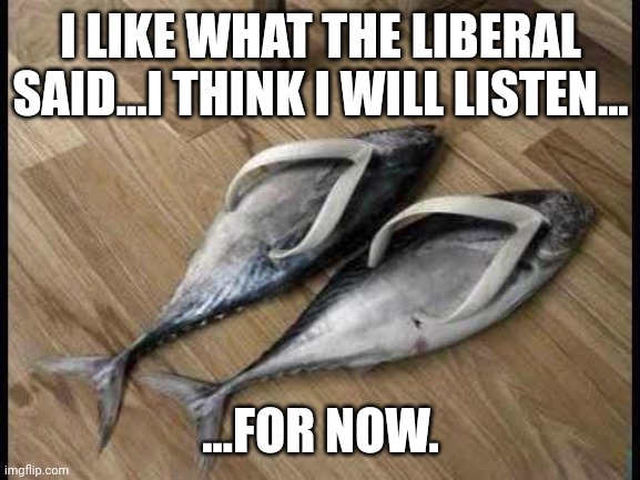 Fish Flops | I LIKE WHAT THE LIBERAL SAID...I THINK I WILL LISTEN... ...FOR NOW. | image tagged in fish flops | made w/ Imgflip meme maker