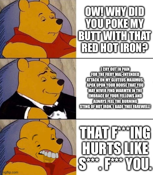 Best,Better, Blurst | OW! WHY DID YOU POKE MY BUTT WITH THAT RED HOT IRON? I CRY OUT IN PAIN FOR THE FIERY MAL-INTENDED ATTACK ON MY GLUTEUS MAXIMUS. APOX UPON YOUR HOUSE THAT YOU MAY NEVER FIND WARMTH IN THE EMBRACE OF YOUR FELLOWS AND ALWAYS FEEL THE BURNING STING OF HOT IRON. I BADE THEE FAREWELL! THAT F***ING HURTS LIKE S***. F*** YOU. | image tagged in best better blurst | made w/ Imgflip meme maker