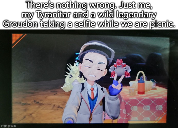 This is normal. | There's nothing wrong. Just me, my Tyranitar and a wild legendary Groudon taking a selfie while we are picnic. | image tagged in groudon,selfie | made w/ Imgflip meme maker