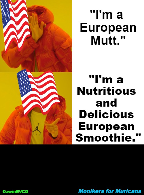 Monikers for Muricans | "I'm a 

 European 

Mutt."; "I'm a 

Nutritious 

and 

Delicious 

European 

Smoothie."; Monikers for Muricans; OzwinEVCG | image tagged in memes,drake hotline bling,political humor,america,americans,identity | made w/ Imgflip meme maker